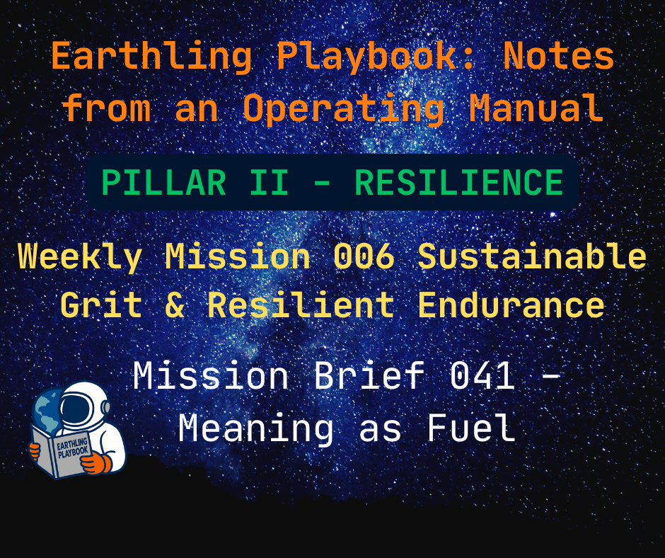 Mission Brief 041 - Meaning as Fuel
